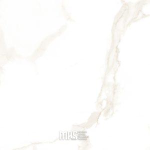 TERRA BIANCO GOLD 100X100 POLISHED 3