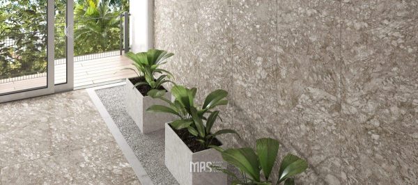 MOON ROCK